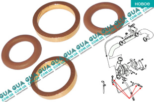 Уплотнительное кольцо / шайба трубки подачи масла на турбину ( прокладка 2шт / шайба 2шт ) комплект Renault / РЕНО GRAND SCENIC III / ГРАНД СЦЕНІК 3 1.9DCI (1870 куб.см.)