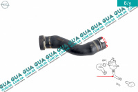 Патрубок вентиляції картерних газів ( шланг / трубка / сапун ) Opel / ОПЕЛЬ ASTRA H 2004-2014 / АСТРА 04-14 1.3 CDTI (1248 куб. см.)