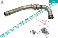 Патрубок ( трубка ) інтеркулера від турбіни до радіатора Renault / РЕНО KANGOO 2009- / КАНГУ 09- 1.5DCI (1461 куб.см.)