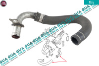 Патрубок / трубка системи охолодження ( від теплообмінника до охолоджувача ЄГР ) Fiat / ФІАТ DOBLO 2009- / ДОБЛО 2009- 1.3MJTD (1248 куб.см.)