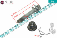 Болт опори/кронштейна кріплення стабілізатора переднього (D19)