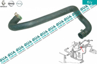  Патрубок / шланг системы охлаждения ( трубка ) Opel / ОПЕЛЬ VIVARO 2000- 2014/ ВИВАРО 00-14 1.9DCI (1870 куб.см.)