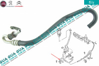 Шланг / патрубок гідропідсилювача керма ( трубка низького тиску ГПР ) Peugeot / ПЕЖО EXPERT III 2007- / ЕКСПЕРТ 3 07- 2.0HDI (1997куб.см.)