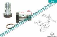Болт / гвинт шланга / патрубка гідропідсилювача ( трубки ГПРа, пустотілий M14 )