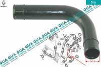 Патрубок ( трубка ) інтеркулера від турбіни до радіатора Renault / РЕНО LAGUNA II / ЛАГУНА 2 2.2DCI (2188 куб.см.),