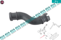 Патрубок вентиляції картерних газів ( трубка / шланг сапуна ) Fiat / ФІАТ STRADA 2003- / СТРАДА 1.3D Multijet (1248 куб. см.)