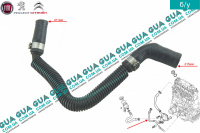 Патрубок вентиляції картерних газів ( трубка / шланг сапуна ) Peugeot / ПЕЖО BOXER II 2002-2006 / БОКСЕР 2 02-06 2.0HDI (1997куб.см.)