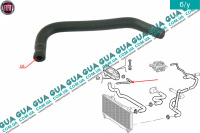 Патрубок / шланг системы охлаждения ( трубка от радиатора к расширительному бачку ) Fiat / ФИАТ PUNTO 1999- / ПУНТО 1.2 (1242 куб.см.)