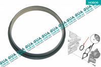 Сальник / уплотнительное кольцо вакуумного насоса Fiat / ФИАТ DUCATO 250 2006- / ДУКАТО 250 2.2HDI (2198 куб.см.)