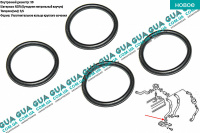 Уплотнительное резиновое кольцо фланца  охлаждающей жидкости ( сальник, манжет, прокладка, уплотнитель ) D-30mm 1шт