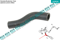 Патрубок вентиляции картерных газов ( трубка / шланг сапуна )