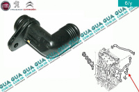Трубка відведення картерних газів (патрубок вентиляції картера) Fiat / ФІАТ SCUDO 2007- / СКУДО 07- 2.0HDI (1997куб.см.)