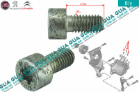 Болт / гвинт кріплення редукційного клапана паливного насоса високого тиску ПНВТ ( ТНВД ) (М1x10) 1шт Fiat / ФІАТ SCUDO 2007- / СКУДО 07- 1.6HDI (1560 куб.см.)