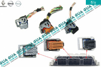 Фішки електронного блоку управління двигуном (ЕБУ/ECU) Nissan / НІССАН MICRA / МІКРА 1.5DCI (1461 куб.см.)