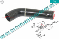 Патрубок / трубка паливної системи від заливної горловини до паливного бака Nissan / НІССАН ALMERA N16 / АЛЬМЕРА Н16 1.5DCI (1461 куб.см.)