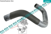 Патрубок масляного радіатора / трубка системи охолодження ( шланг теплообмінника )