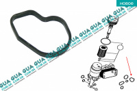 Прокладка масляного радіатора (теплообмінника) OM651 Mercedes / МЕРСЕДЕС VITO W477 2014- / ВІТО 14- 119 BlueTEC (2143 куб.см.)
