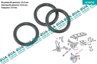 Сальник / кільце ущільнювальне масляного насоса / теплообміника / масляного радіатора / штока кришки масляного фільтра