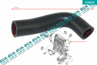 Патрубок вентиляції картерних газів верхній ( шланг, трубка cапуна ) Peugeot / ПЕЖО 206 2.0HDI (1997куб.см.)
